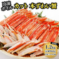 本ズワイガニ 半むき身 L~2Lサイズ ボイル 総重量1.2kg：600g（正味480g）×2箱