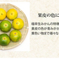 【10月上旬～中旬頃より順次出荷】みかん 訳あり 送料無料 1.5kg  熊本みかん 熊本県産 極早生みかん 蜜柑 ミカン