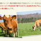 本場熊本産 訳あり デコみかん 送料無料 1.5kg 不知火 みかん ミカン 熊本県産 訳あり デコポン と同品種 熊本 柑橘 2月中旬-3月上旬頃発送予定