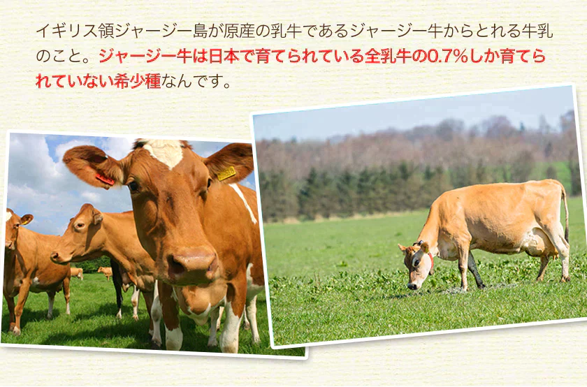 本場熊本産 訳あり デコみかん 送料無料 1.5kg 不知火 みかん ミカン 熊本県産 訳あり デコポン と同品種 熊本 柑橘 2月中旬-3月上旬頃発送予定