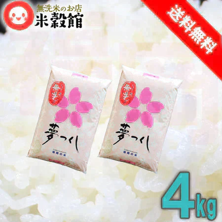 令和7年産 無洗米4kg 送料無料 九州産 福岡県民米 夢つくし 2kg×2個 おためし 送料込 ゆめつくし 福岡県民御用達。県内販売銘柄ダントツNo1！