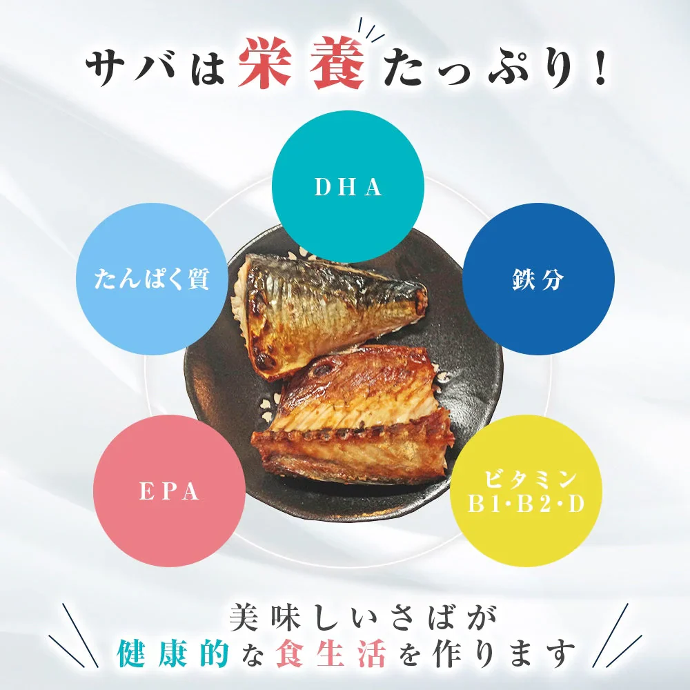 【数量限定 訳あり】 サーモンハラス塩干し/塩さば 2種大盛り 2kg サーモン 塩サバ さば 鯖 鮭 大容量 お買い得 セット 料理 シーフード 海鮮 食品 合わせ買い まとめ買い 商品 通販 惣菜 お取り寄せ グルメ 大人気 人気 おすすめ オススメ
