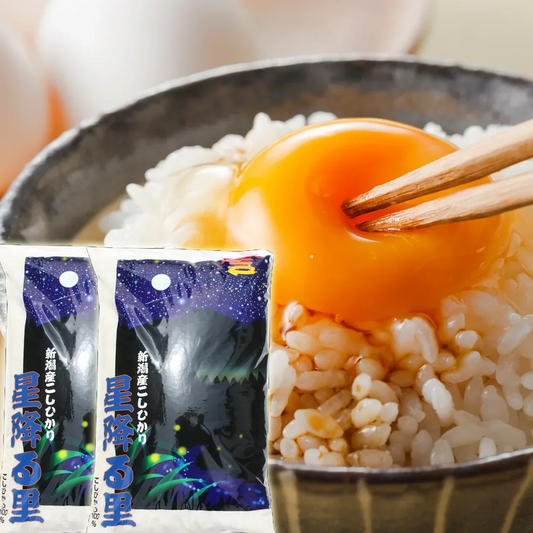 新米 令和8年 無洗米 20kg 送料無料 新潟産 コシヒカリ 無洗米 20kg 送料無料 無洗米20kg 10kg×2袋 新潟県産 こしひかり 20キロ 美味しいお米