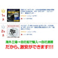 紙幣計数機 黒 紙幣カウンター付き PSE認証 1年保証 適格請求書対応 Bill Counter 日本語操作パネル 日本語表記 お札カウンター マネーカウンター
