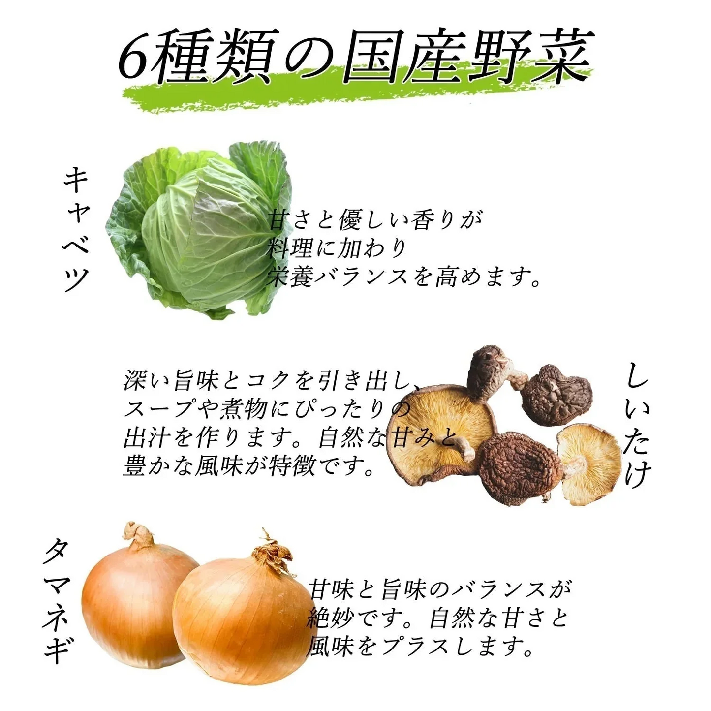 【30袋入り】大地の生菓 無添加 国産野菜6種類 粉末だしパック 食塩 化学調味料 保存料 不使用 自然派 天然素材 福岡で製造 出汁 だし素材 だしの素 野菜パウダー