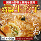 訳あり！ちょっと大きめ国産生餃子　3ｋｇ（1ｋｇ×3ｐ）　豚肉 ギフト 送料無料 野菜　業務用 冷凍 餃子　コストコ　お手軽 お取り寄せ お取り寄せグルメ 北海道と沖縄を除き 【送料無料】