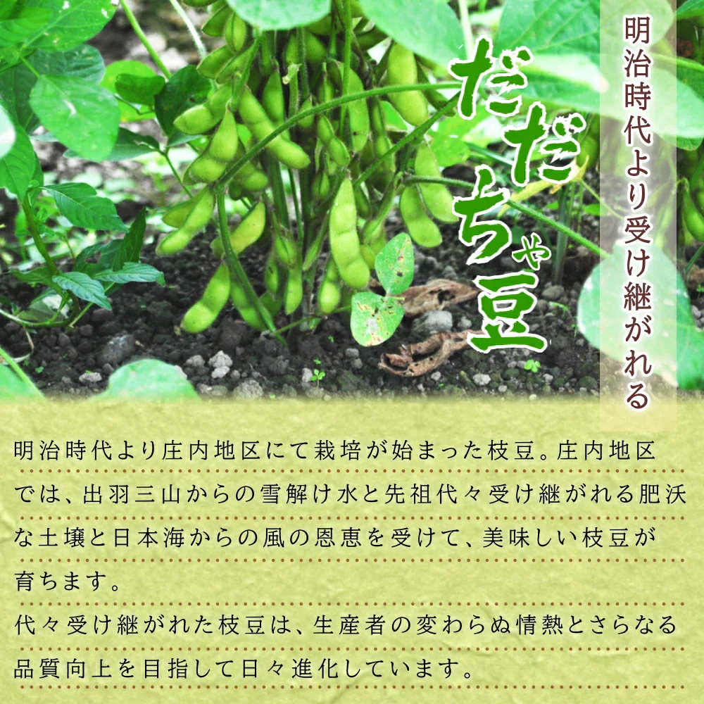 【8月中旬-9月上旬頃発送】だだちゃ豆 訳あり 2kg 訳あり 大盛り ご家庭用 えだまめ エダマメ 産直 山形産 ワケアリ 大盛り たっぷり 食べ放題