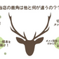 【送料無料】鹿角　Mサイズ　1本　ペット　歯石　口臭　ストレス解消　おもちゃ　お留守番　しか　ツノ