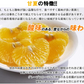 甘夏 訳あり 5kg みかん 蜜柑 ご家庭用 箱買い B品 サイズミックス あまなつ 柑橘 フルーツ 果物 産地直送 愛媛県産 YDF-014