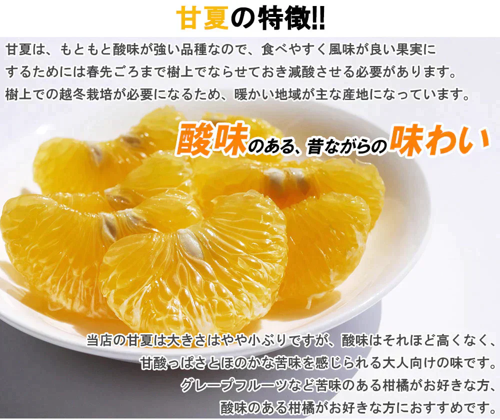 甘夏 訳あり 5kg みかん 蜜柑 ご家庭用 箱買い B品 サイズミックス あまなつ 柑橘 フルーツ 果物 産地直送 愛媛県産 YDF-014