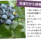 東北産 冷凍ブルーベリー１kg