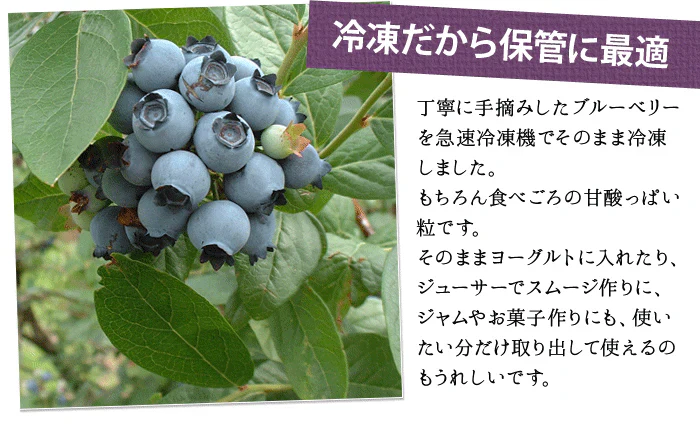 東北産 冷凍ブルーベリー１kg