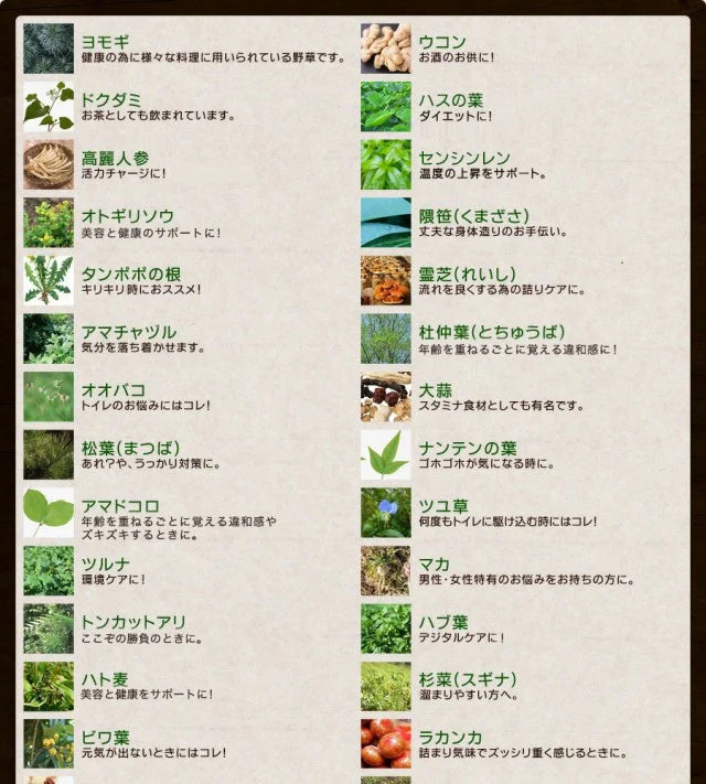 野草酵素《約1ヶ月分》酵素サプリ/サプリ/酵素ダイエット/サプリ/酵素サプリメント/ダイエット サプリ/ダイエット 酵素/【カウシェファーム収穫対象商品】