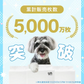 【レギュラーサイズ/800枚入り】超薄型 ペットシーツ ペットシーツ 多頭飼い 大容量 まとめ買い 業務用 ペット用 ペットシート トイレシート 犬 猫 トイレシーツ ペット用シーツ ペットシート おしっこシート おむつ替えシート 送料無料