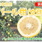 パール柑 10kg 箱込 (内容量9kg+不良果補償分500g) 文旦 みかん 送料無料 訳あり 無選別サイズ混合 熊本県産 グレープフルーツ 蜜柑