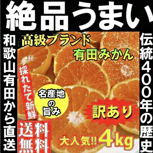 (10月下旬頃から順次発送の予約販売)  みかん 4キロ 和歌山県 有田産 有田みかん