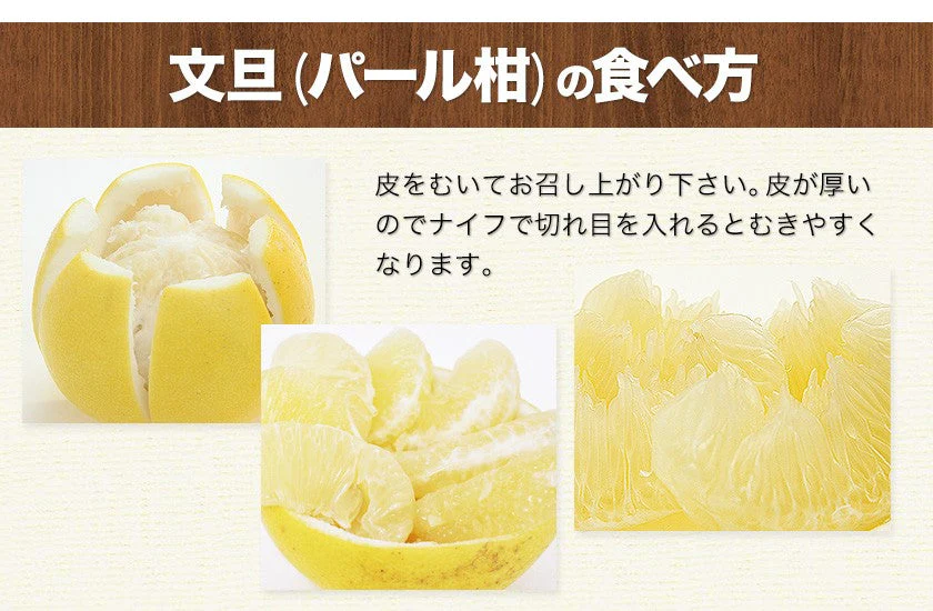 【熊本コレクション】天草文旦 パール柑 ギフト 約3kg前後 送料無料 4L-3L / 5-6玉入 贈答用 御年賀 寒中見舞い 果物 フルーツ 12月上旬-12月末頃より発送予定