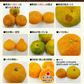 小玉 みかん 訳あり 送料無料 4kg 小粒 ミカン 柑橘 熊本 極早生 3s-sサイズ 家庭用 9月下旬-10月中旬頃より発送予定