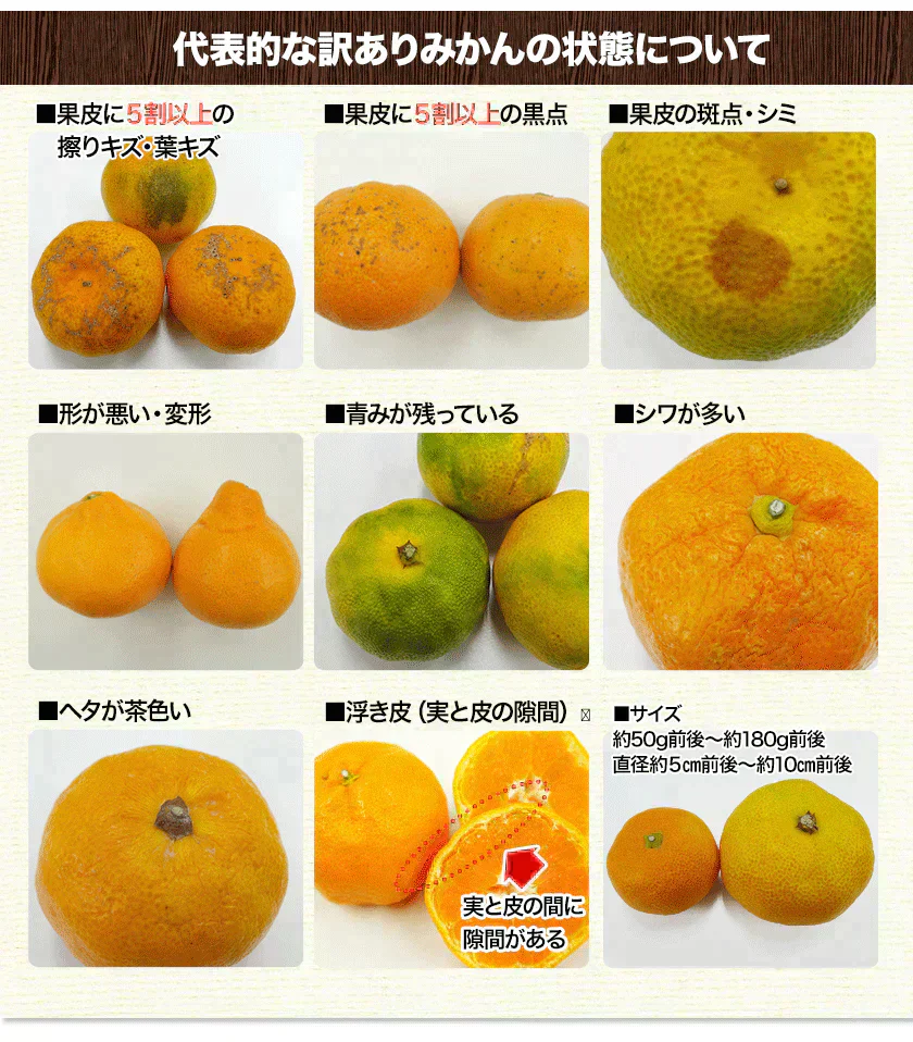小玉 みかん 訳あり 送料無料 4kg 小粒 ミカン 柑橘 熊本 極早生 3s-sサイズ 家庭用 9月下旬-10月中旬頃より発送予定