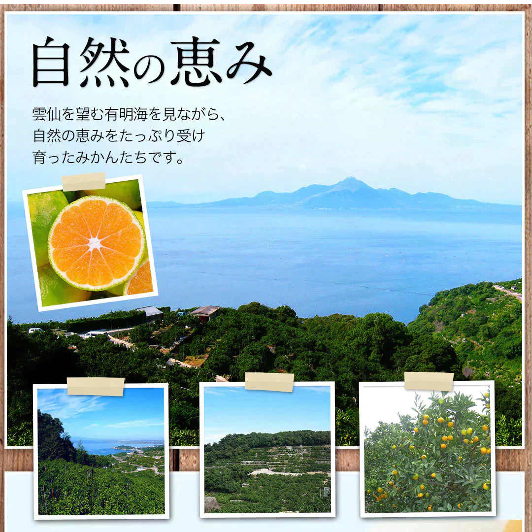 小玉 みかん 訳あり 送料無料 4kg 小粒 ミカン 柑橘 熊本 極早生 3s-sサイズ 家庭用 9月下旬-10月中旬頃より発送予定