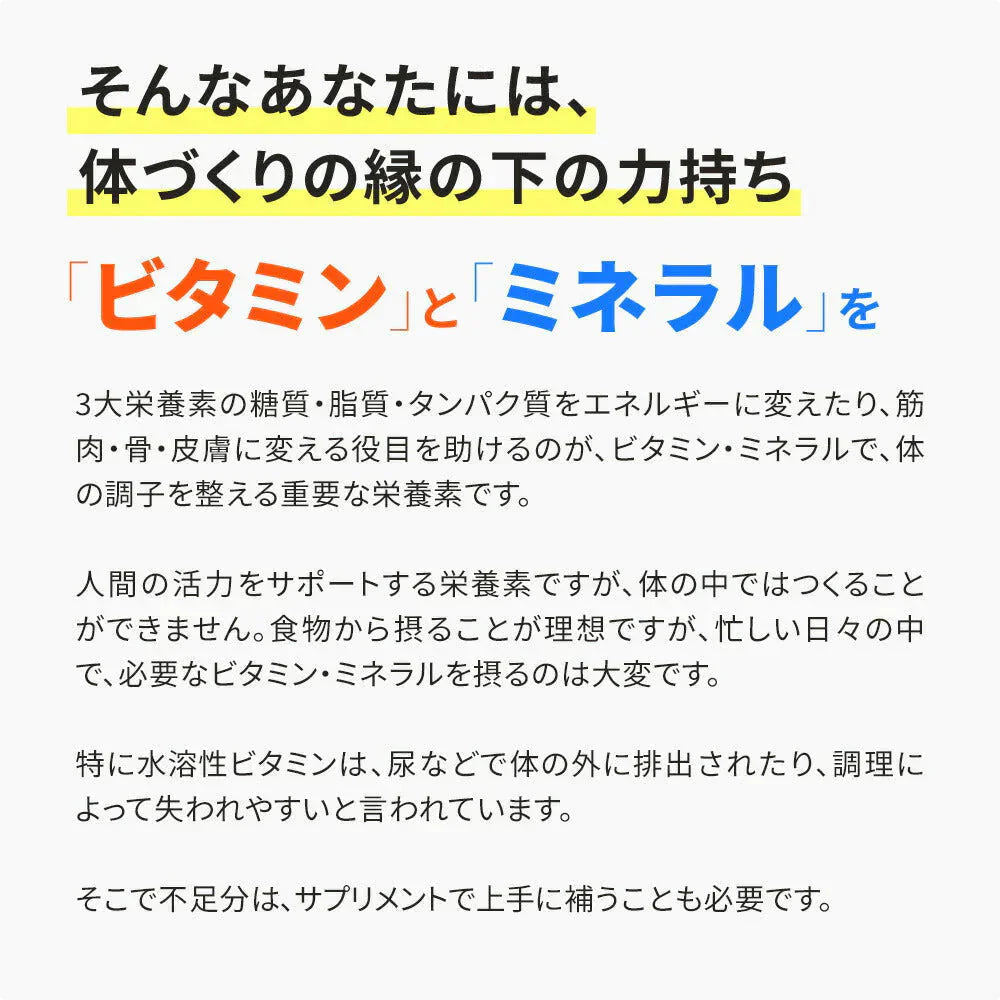 マルチビタミン＆マルチミネラル《約12ヶ月分》送料無料 サプリ サプリメント 健康 美容 ビタミンA ビタミンB ビタミンC ビタミンD ビタミンE 葉酸 ナイアシン ミネラル カロテン 鉄 亜鉛 カルシウム マグネシウム 銅 ヨウ素