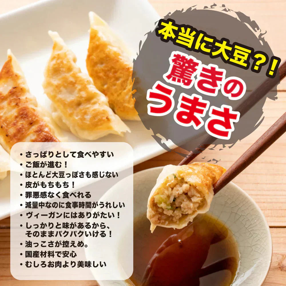 【動物性原料ゼロ】大豆ミート餃子 60個(30個入×2袋) ソイプロテイン餃子｜動物性不使用・ソイプロテイン・低脂肪・ヘルシーおかず・ビーガン対応 ギルティフリー