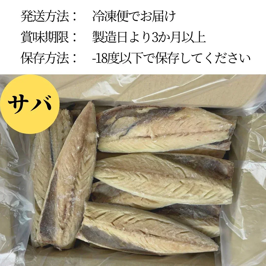 サバ&ホッケ 各10枚セット 小田原「山安」ホッケ 鯖 肉厚 朝食 おかず 魚 干物 和食 切り身 簡単調理