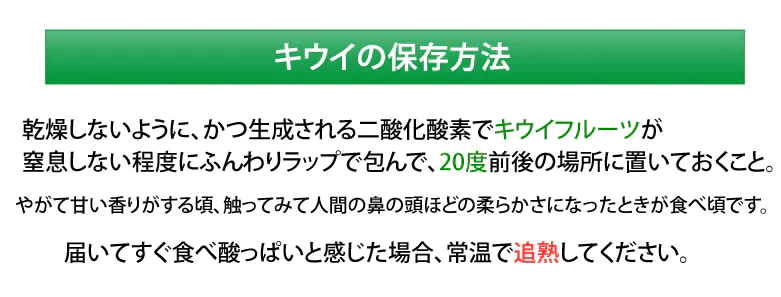キウイフルーツ ヘイワード 送料無料 約1kg 7～14玉入り 福岡県産 グリーンキウイ フルーツ