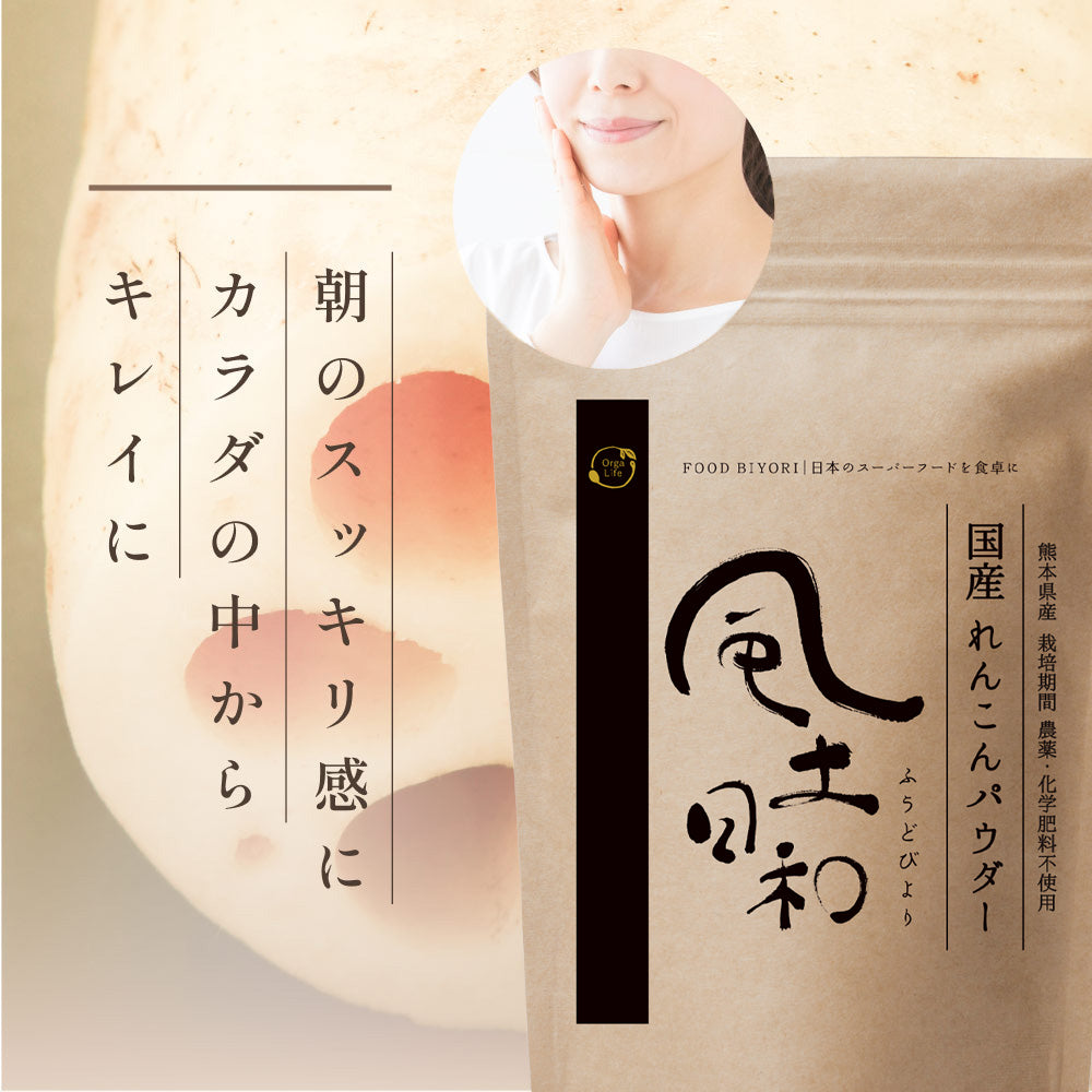 れんこんパウダー 国産 70g 無農薬 粉末 レンコンパウダー ポリフェノール レシピ 離乳食 ヨーグルト スイーツ 食物繊維 タンニン れんこん 蓮根パウダー 野菜パウダー レンコン粉 熊本県産 化学肥料不使用 送料無料