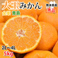 大玉みかん 5kg 2L～4L 秀品 金峯 青島 みかん 送料無料 温州みかん 熊本県産 蜜柑 ミカン フルーツ