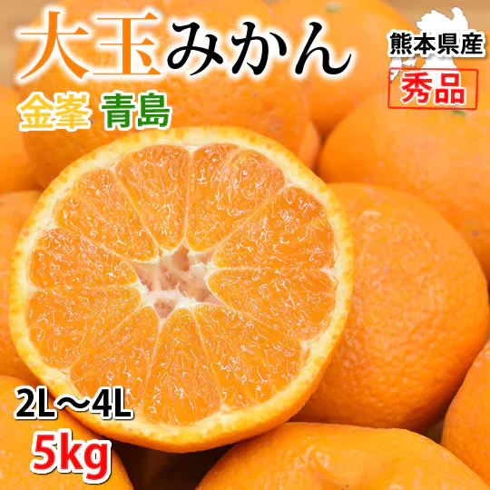 大玉みかん 5kg 2L～4L 秀品 金峯 青島 みかん 送料無料 温州みかん 熊本県産 蜜柑 ミカン フルーツ