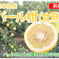 パール柑 5kg 箱込 (内容量4kg+不良果補償分500g)  文旦 みかん 送料無料 訳あり 無選別 サイズ混合 熊本県産 グレープフルーツ 蜜柑