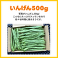 〔合計2kg〕野菜セット (ジャンボいんげん500g+ズッキーニ500g(2本)＋さつまいも(1kg3-5本) 鹿児島県産