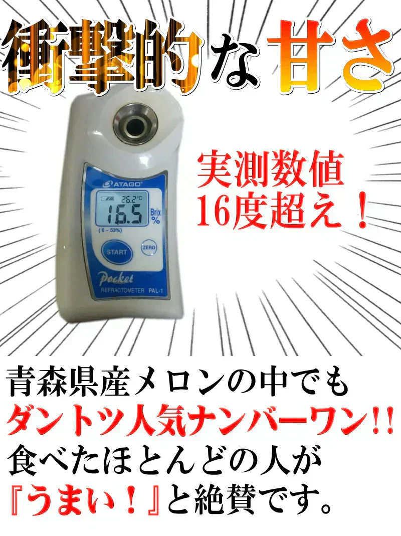 【冷蔵便】青森県産 つがるメロン 2玉(優～秀品 1玉約1.0kg～1.2kg×2玉入り)