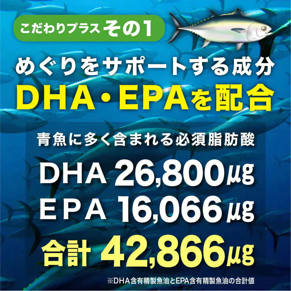 イチョウ葉エキス（約1ヶ月分）イチョウ葉　サプリメント DHA EPA