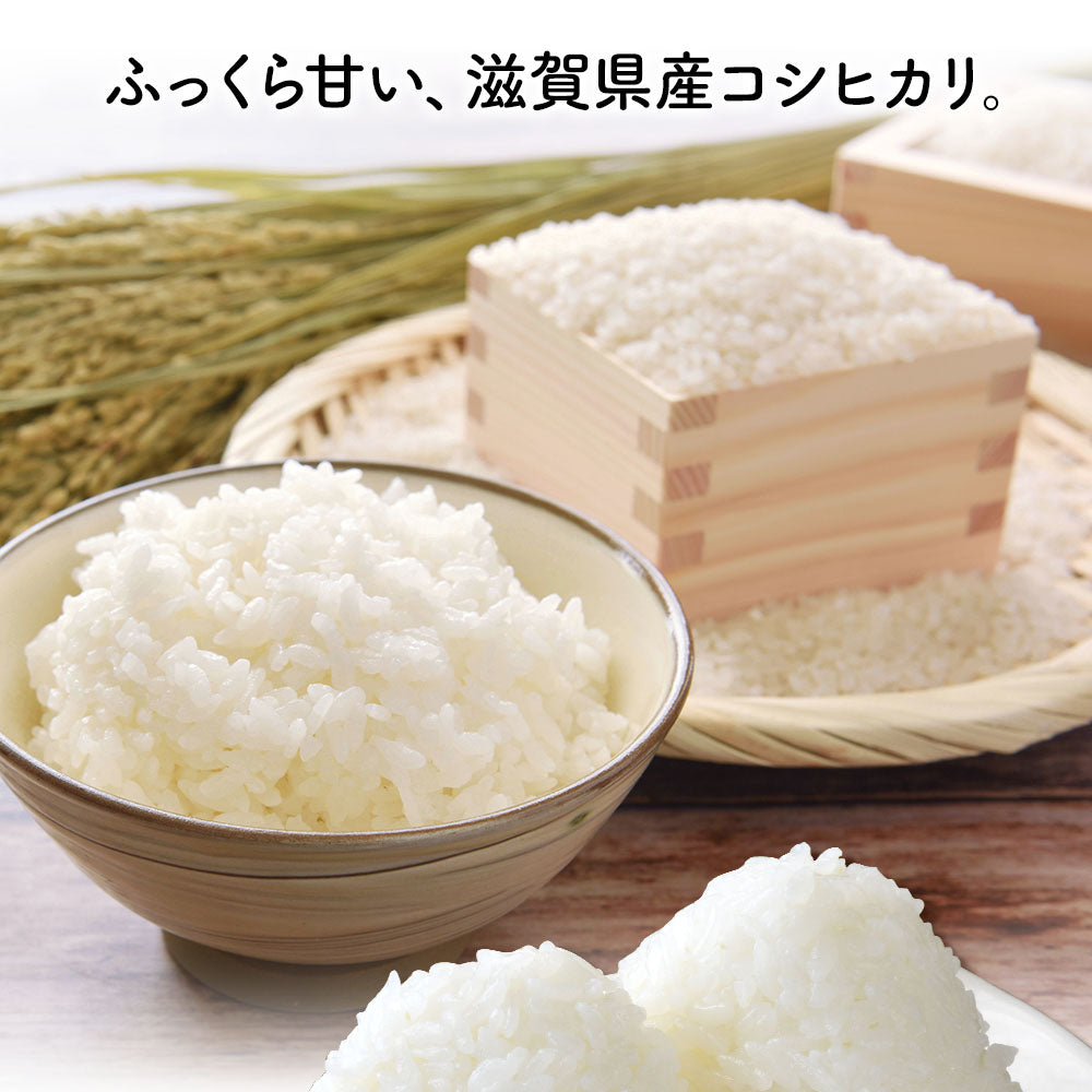 米 5kg 雪若丸 精米 山形県産 送料無料 令和6年産 ギフト 単一原料米 ブランド米 こめ コメ 白米 産地直送 kkb-005