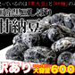 訳あり無選別！高級丹波黒豆しぼり甘納豆どっさり600ｇ
