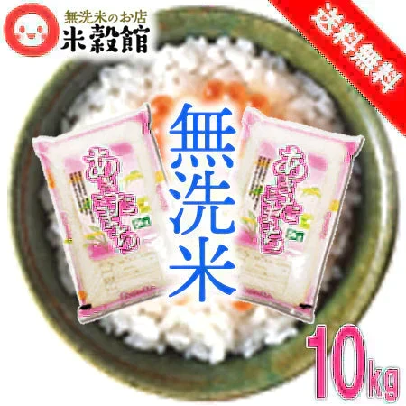 【令和7年産】無洗米 あきたこまち 無洗米 10kg 秋田小町 5kg×2 2025年産 人気銘柄