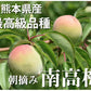 【6月上旬～中旬頃より順次出荷】南高梅 梅 送料無料 秀品 1.5kg クール便でお届け 熊本県産 最高級品種 ウメ 梅酒 フルーツ