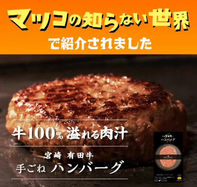 宮崎有田牛(EMO牛)手ごね生ハンバーグ150g×5個セット