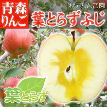 葉とらず サンふじ 家庭用 10C箱(10kg箱:約32～50個入)