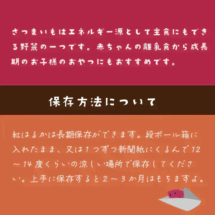 訳あり さつまいも 4kg 農薬不使用 「 佐賀県産 紅はるか 4kg 未選別 詰合せ 家庭用 」送料無料 福祉事業所直営農園栽培