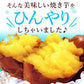 お芋専門店の冷やし焼き芋（紅はるかの焼き芋）8袋【おいもや】