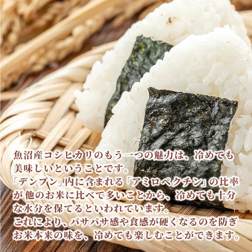 【白米】令和7年産 魚沼産 コシヒカリ 20kg(5kg×4袋) 精白米 国産 国産コシヒカリ100％ 送料無料 精米工場からの直送品