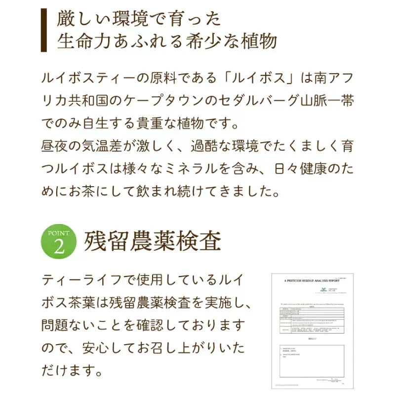 【最短当日出荷】ゴールデン グリーンルイボスティー 50個入（水出し OK 非醗酵 健康 美容 ティーバッグ ハーブティー ノンカフェイン お茶 ティーライフ）