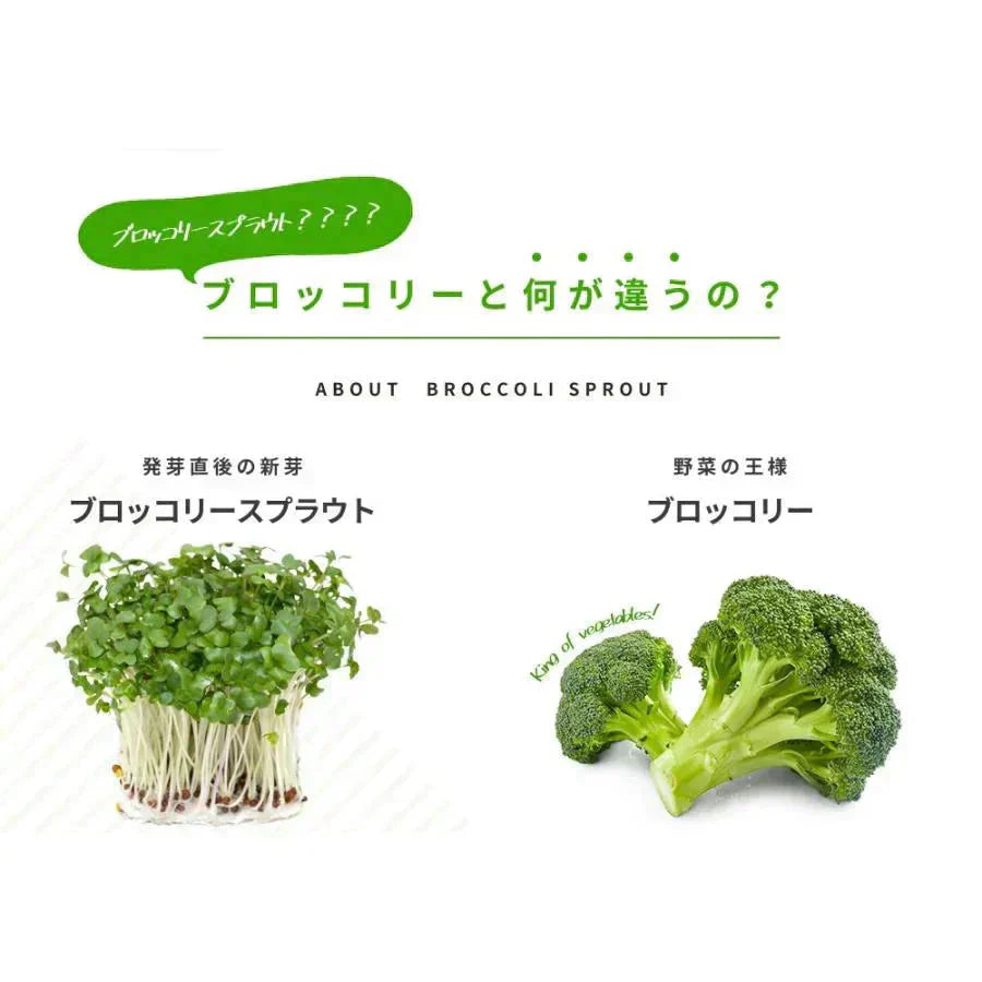 ブロッコリースプラウト《約3ヶ月分》 サプリ サプリメント 健康 女性 ダイエット スルフォラファン スーパーフード ブロッコリー スプラウト すっきり 栄養補給