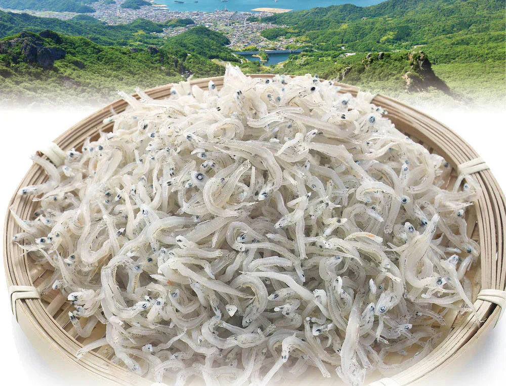 【5個セット】日本橋いなば園 しびれる山椒 瀬戸内ちりめん山椒 35g メール便送料無料