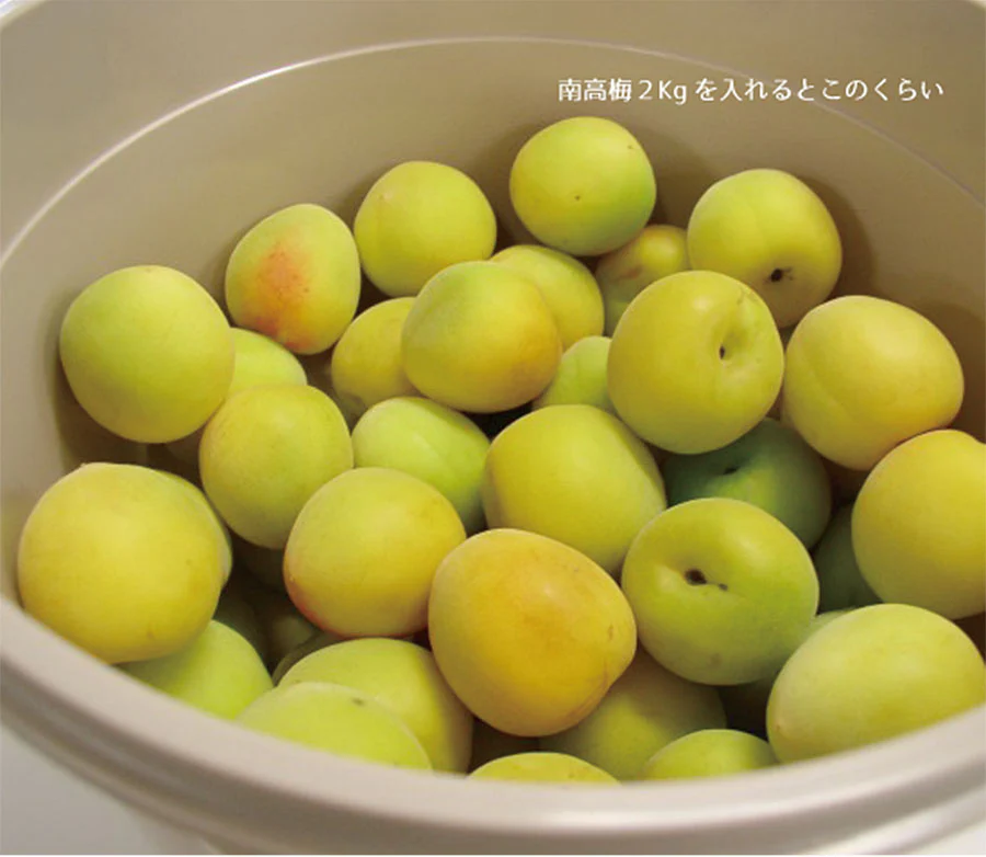 エンバランス フードコンテナ 6L 丸型 鮮度保持容器 EMBALANCE FOOD CONTAINER