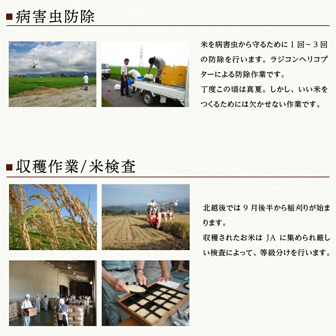 米 精米 新潟県 特別栽培米 こしひかり 5kg 令和5年産 新米 JA北越後指定 お米 白米 おくさま印 国産 食品 ギフト 引っ越し 挨拶 出産 内祝い 母の日 父の日 お中元 お歳暮 結婚 快気 還暦 香典返し お年賀 送料無料