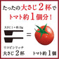 【1ケース】【送料無料】 デルモンテ リコピンリッチ トマト飲料 900ml ペットボトル 12本 トマトジュース ベジタブル（野菜）ジュース とまと りこぴん トマト完熟 とまと 食塩無添加 無塩